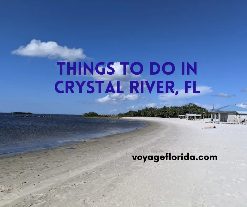 things-to-do-in-crystal-river-fl-voyage-florida